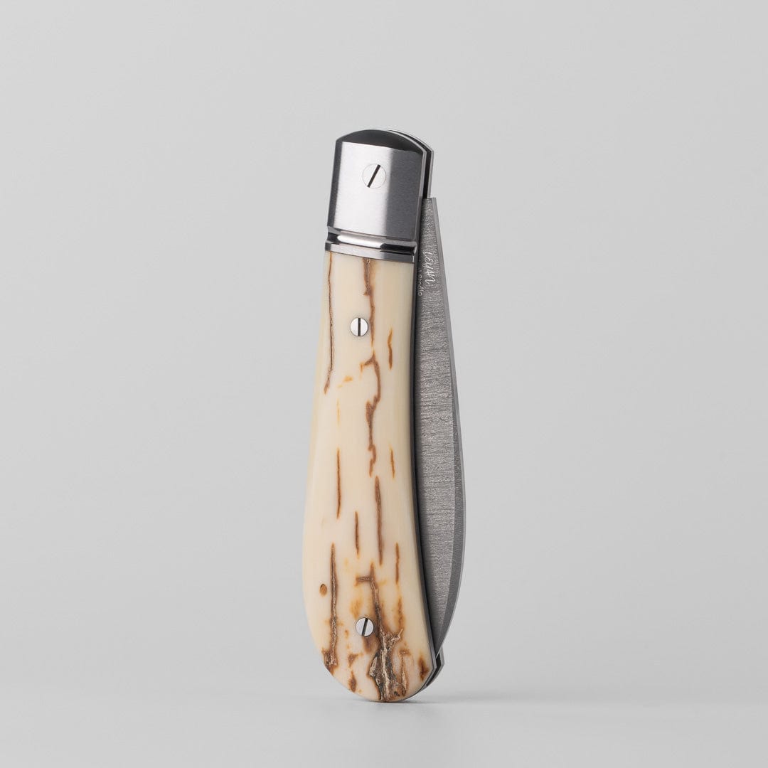 Pocket Knife EDC – Zulu | M390 Wootz Steel Camel Bone Antler Mammoth Ivory Handle